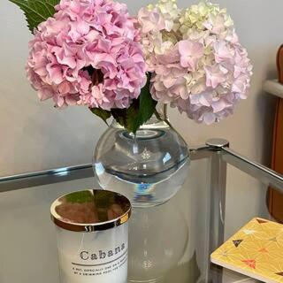 Pittsford Garden Retreat公寓 外观 照片